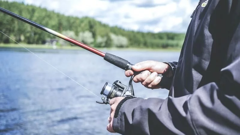 best-fish-chum-grinder