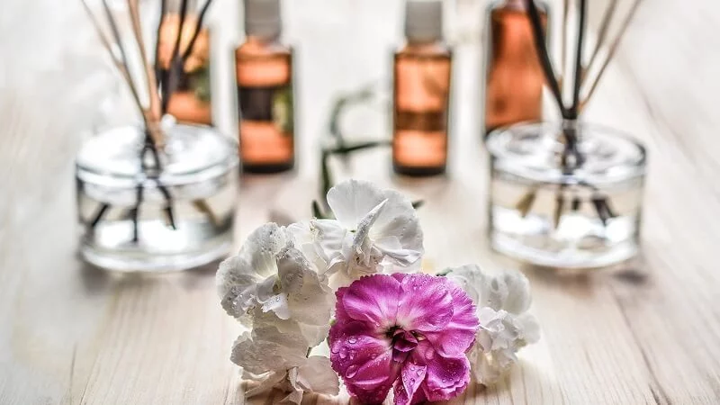 best-odor-eliminator-for-home