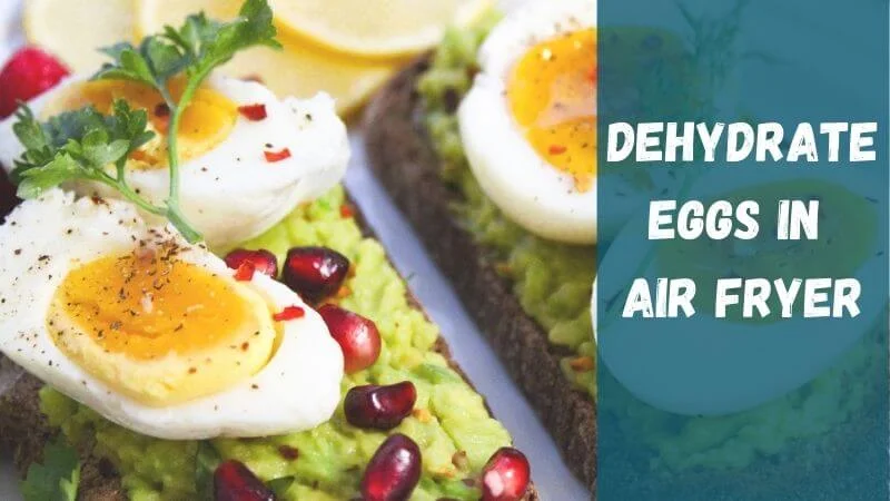 dehydrate eggs in air fryer