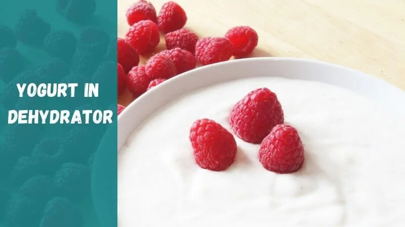 prepare-yogurt-in-dehydrator