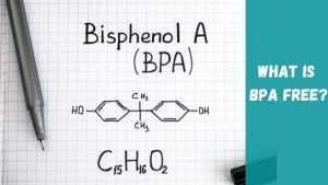 What Does BPA Free Mean?